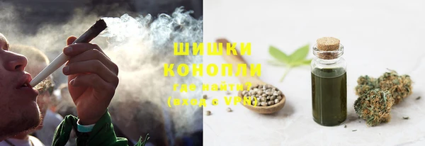 хмурый Горно-Алтайск