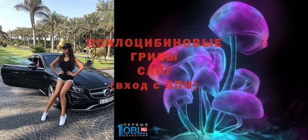 стафф Горняк